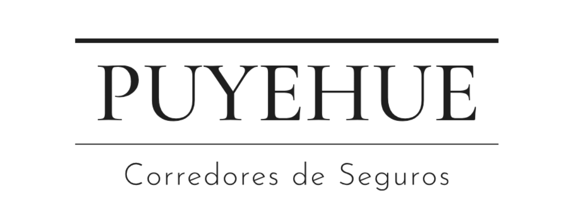 Puyehue Corredores de Seguros
